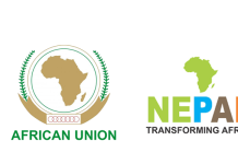 Food Security: Seven states to benefit from AU, NEPAD farmers’ initiative