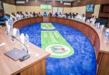 Flights of fancy: Govs slammed for wasting N160bn on unviable airports