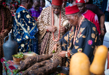 Anambra community celebrates New Yam festival, tackles hunger with agric revolution