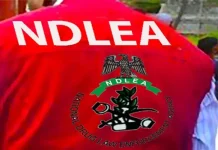 Oyo NDLEA arraigns two over alleged transportation of tramadol, rubnol