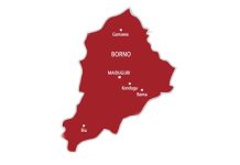 How teenagers packaged bomb in flask to attack Borno hospital